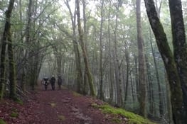 Sombres chemins pluvieux