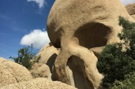 Skull Rock