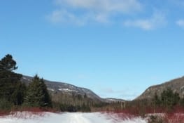 Je découvre le ski de fond : j'adore !
