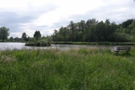 Kleiner See, Ortenberg