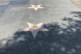 Les Stars. sont déjà là ...