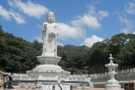 Plus grand Bouddha du monde, d'après une indication