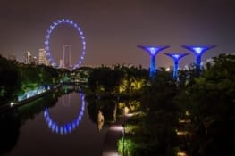 Les supertrees et la Singapore Flyer