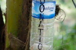 Une bouteille à donation... si vous en voulez encore ^_^