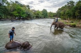 Le moment de la baignade