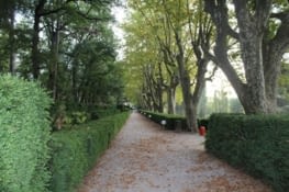 Allée des promeneurs solitaires