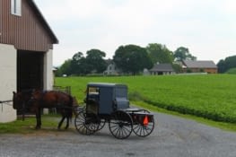 et bien sur pas de voiture !