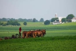 pas de machines industrielles,