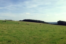 1er contact avec la civilisation extérieure. Appréhension & excitation