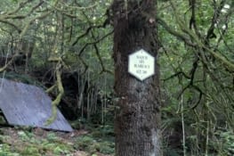 Arrivée au camps de Maquisards