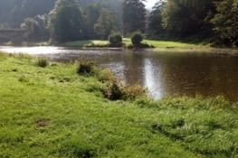 La Semois : "Danser, chanter, en liberté tout l'été"