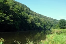 Membre inférieur : la Semois t'aimer.