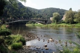 Les canards jouant à "The water is lava"