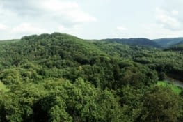 Point de vue sur la vallée