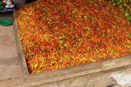 Piments sur le marché de Manado
