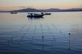 Vue depuis la baie du Bunaken Beach Resort