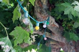 Fête de village dans la vallée des Aldudes