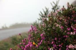 Traversée de frontière dans la brume sur la route sinueuse de Banca