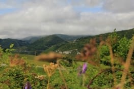 Première éclaircie sur  la vallée de Roncevaux