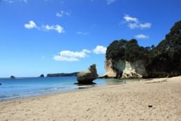 Plage à Coromandel