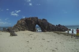 L'arche mythique (embleme du ceara)