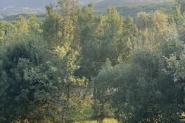 Couché de soleil sur le Lot