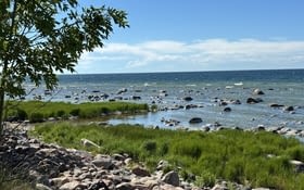 Gotland la méditante