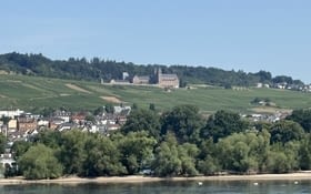 Entlang des Rheins