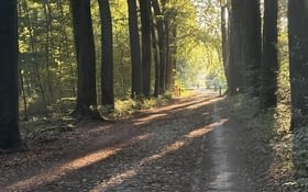 Journée de transit .