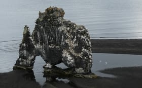 On roule encore sur le "artic coast road" jusqu'à Hvammstangi