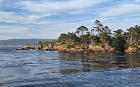 Jour 23 : Point Lobos