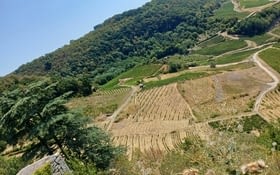 Visite de Baume-Les-Messieurs