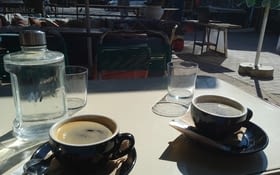 Des puces et deux motos