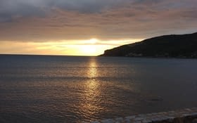 Bloody hell! The cheddar !