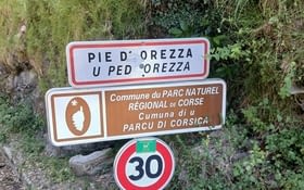 Vache grimpante et rot corse...