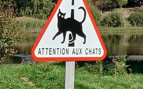 Happy end surprise en Bourgogne