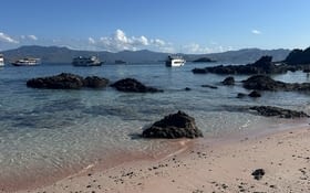 La croisière ça fuse !