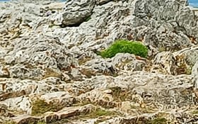 Étape 3 : Pointe de Dinan - Pointe de Pen Hir