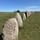 Viking’s Road
