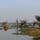 Bharatpur