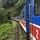Un train nommé désir