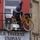 Cassel et Bergues