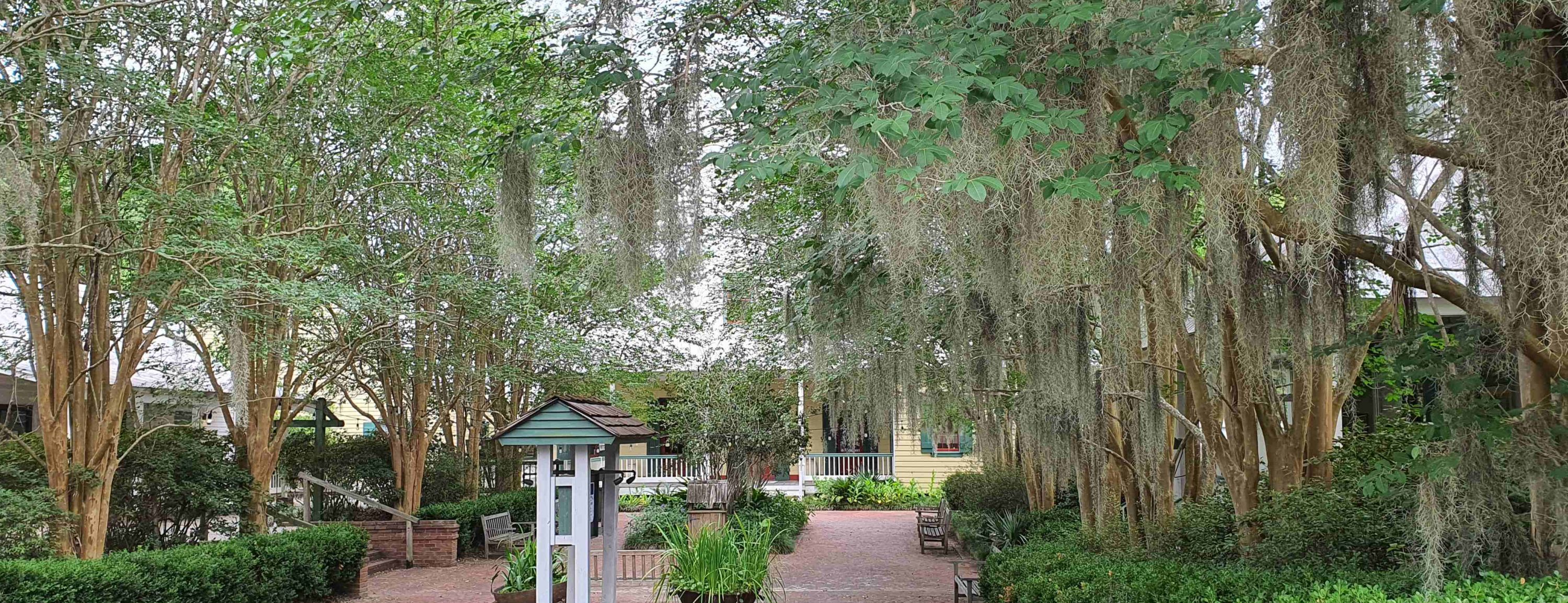 Blog de voyage aux ÉtatsUnis Lafayette Parc Chico