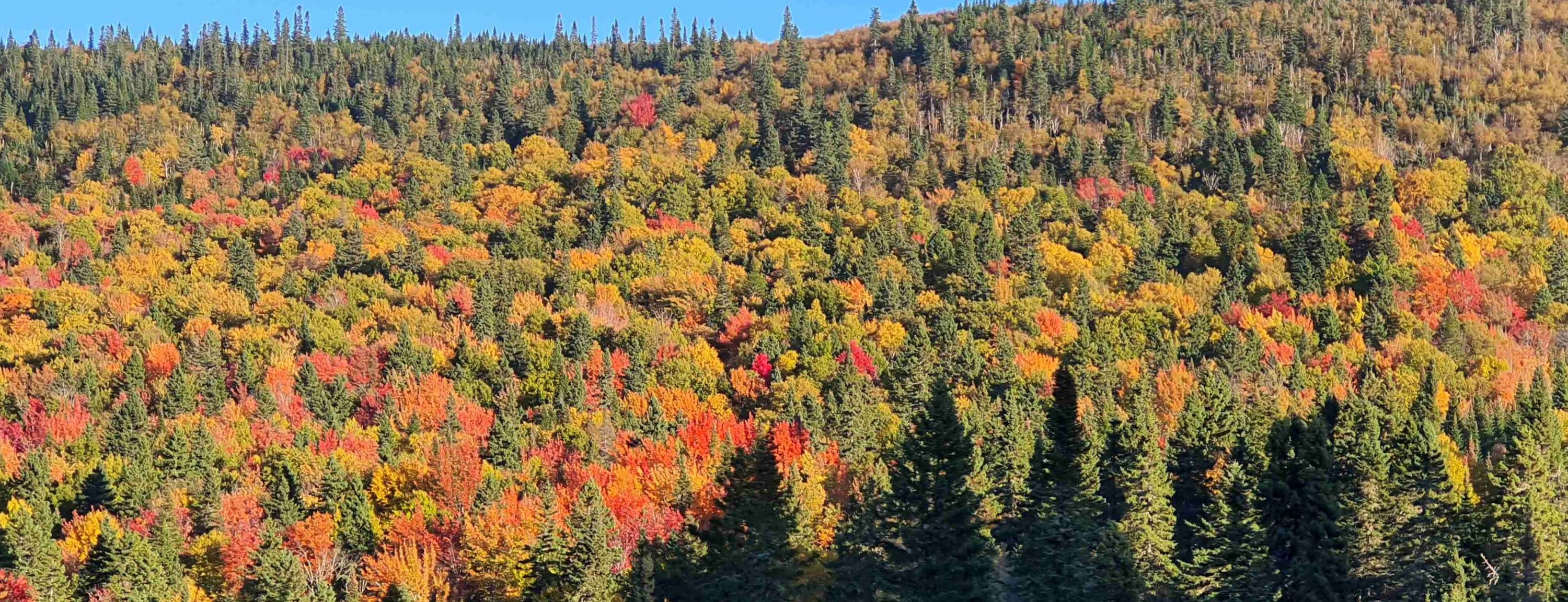 Blog de voyage au Canada Le Charlevois Les Parcs, la boucle de La