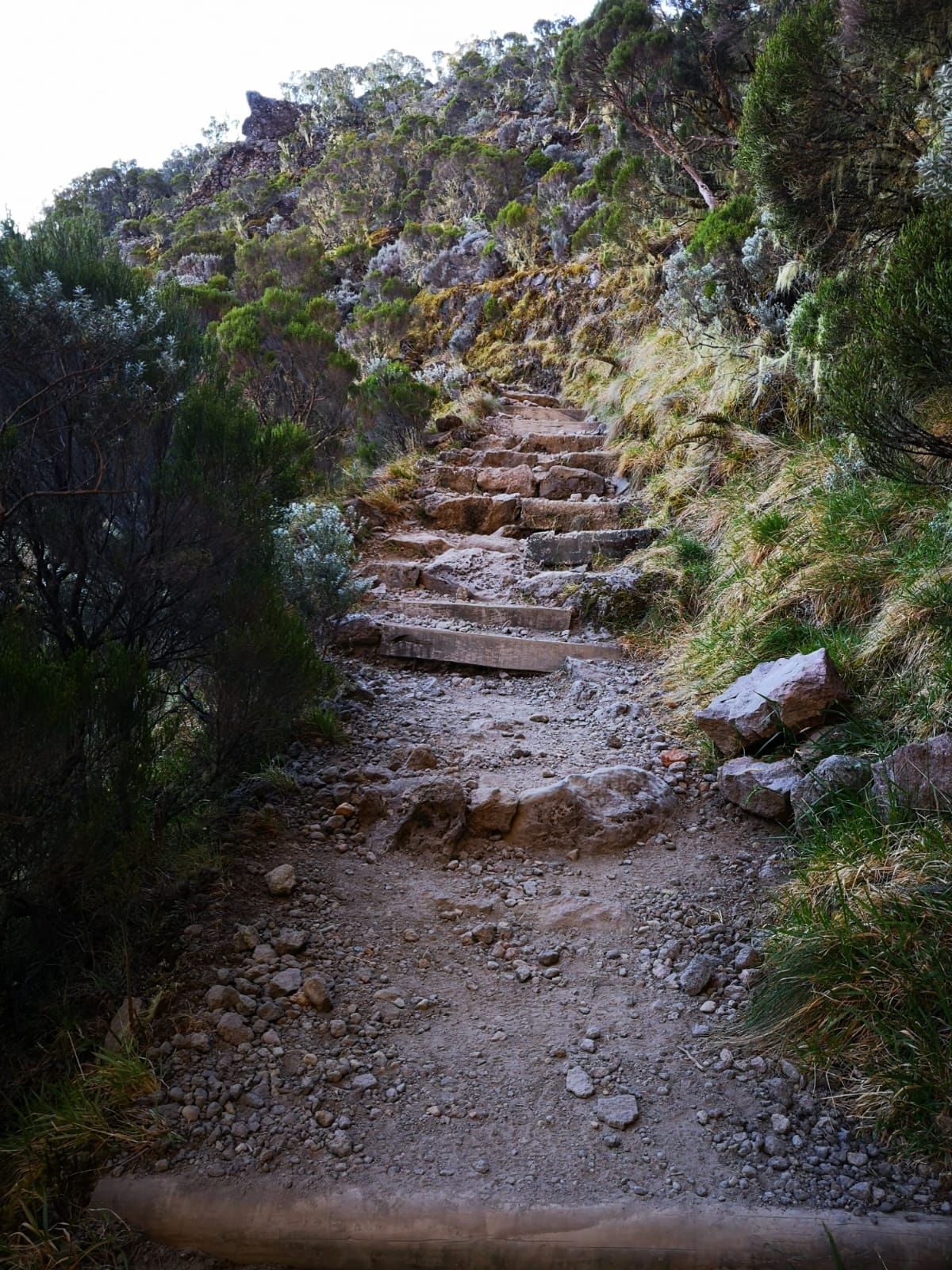 Blog de voyage en France L'Ascension du Piton des Neiges